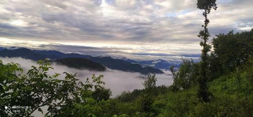 Kanatal Basera Home Stay