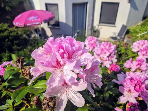 Apartamento Ferienwohnung Und Pension Grimma