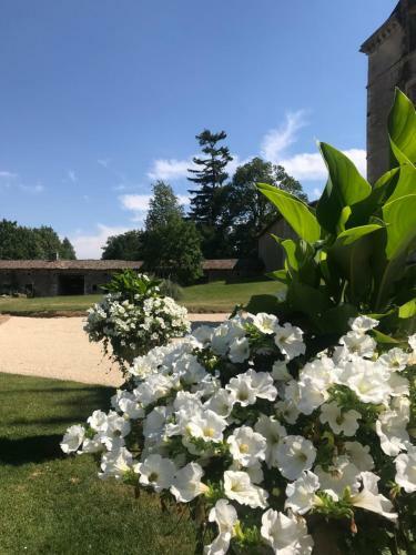 Chateau Pont Jarno B&B