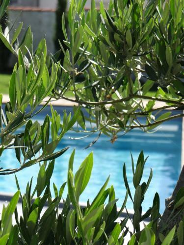 Bed & Breakfast Chambres D'h�tes Les Marguerites