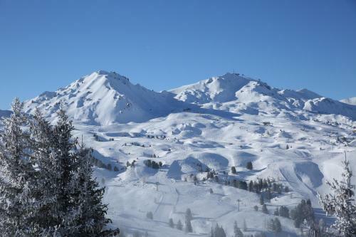 Chalet Tovet