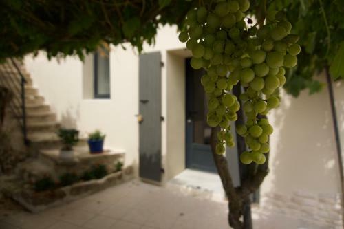 Apartamento G�tes Du Mas De Surlan