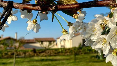 Apartamento G�tes Du Mas De Surlan