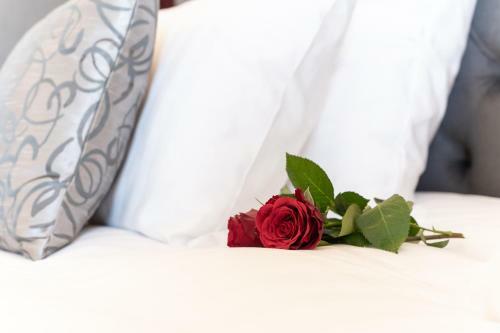 Hotel H�tel Dali Val D'europe