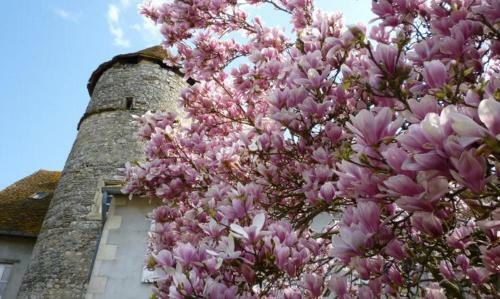 Hostal Relais De Chasse Sasu Guta