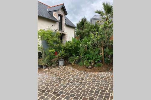 La Petite Maison Dans La Jungle