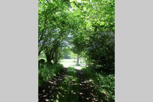 G�te De La Montagne D'ance