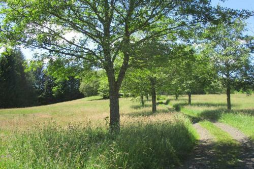 G�te De La Montagne D'ance