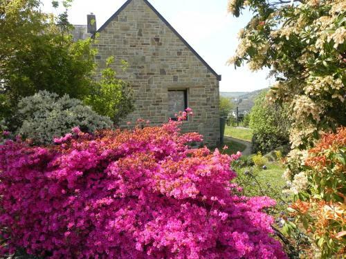 Bed & Breakfast Villa D'ys