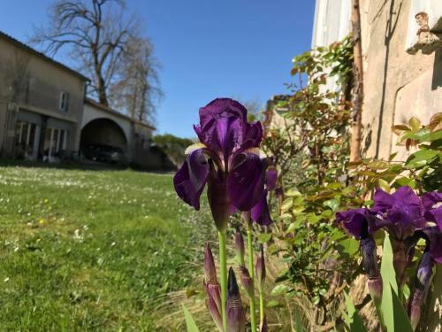 The Painted House * Authentic Chateauneuf