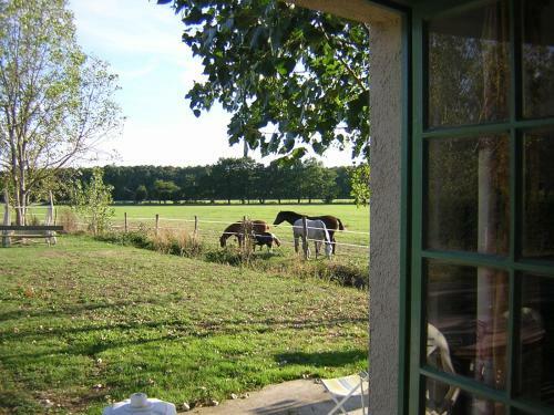 Bed & Breakfast Chambre D'h�te De L'�levage Du Lattay