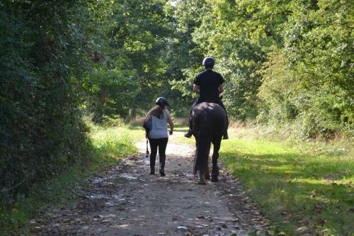Bed & Breakfast Chambre D'h�te De L'�levage Du Lattay