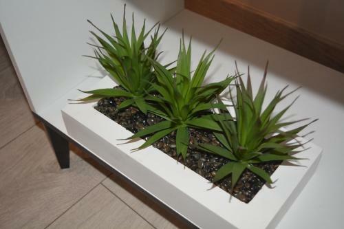 Apartamento Appart Royal Couesnon