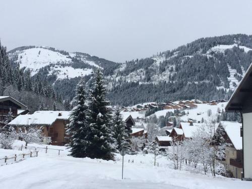 Apartamento 166 Studio Chatel