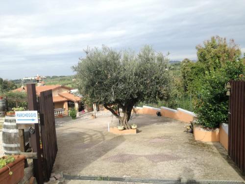 Hostal Alloggio Per Uso Turistico Come Dai Nonni Id 3900