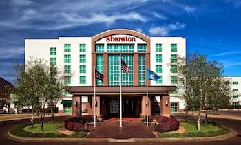 Hotel Sheraton Sioux Falls & Convention Center
