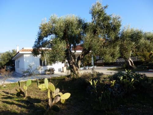 Villa Casavacanze Pugliamia