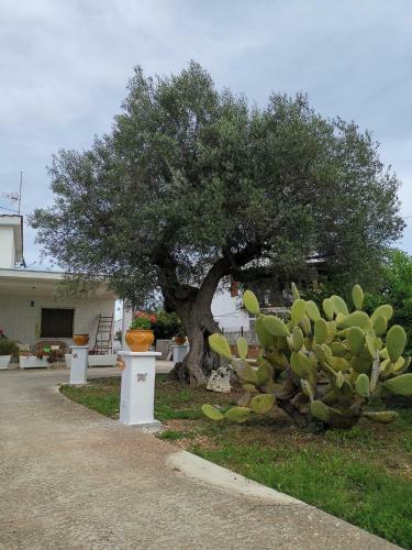 Villa Casavacanze Pugliamia