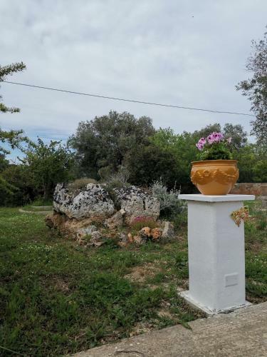 Villa Casavacanze Pugliamia