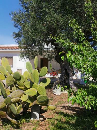 Villa Casavacanze Pugliamia