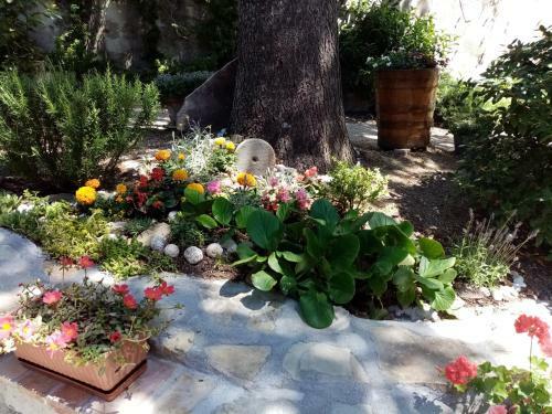 Casa Vacanza Giardino