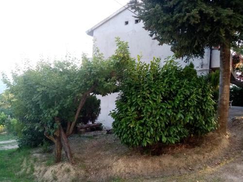 Casa Vacanza Giardino