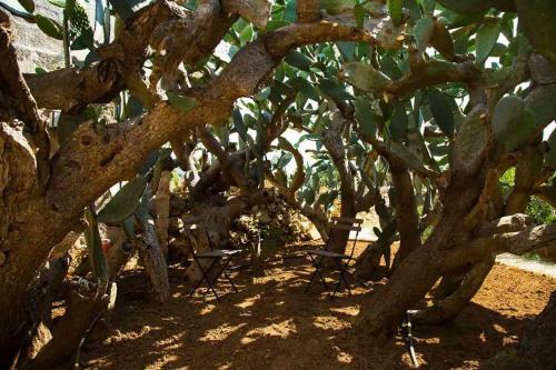 Agroturismo Masseria Celano