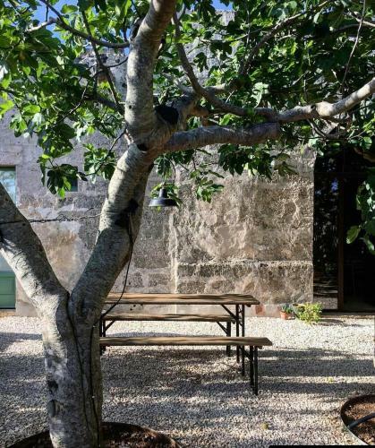 Agroturismo Masseria Celano