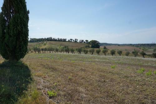 Agroturismo Agriturismo Cheloni