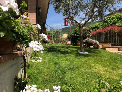 B&B A M� Vedemo