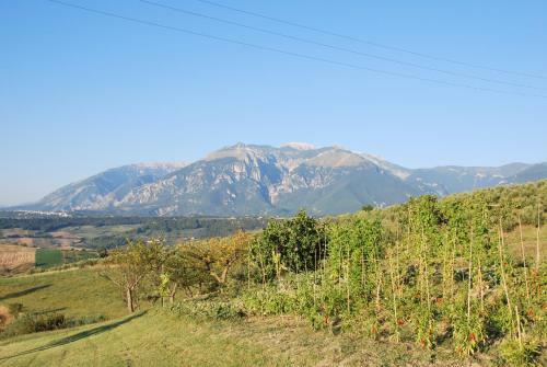 Apartamento Casa Con Vista Holiday Rentals, Jasmine