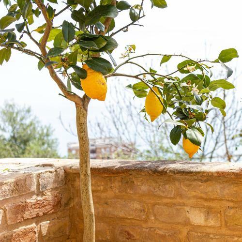 Apartamento La Casa Di Nando