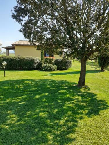 Agroturismo Agriturismo Le Chiare Stelle