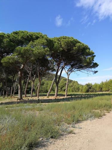 La Meria Di Maria Villa Rosa