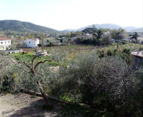 Apartamento Appartamento Riccardo