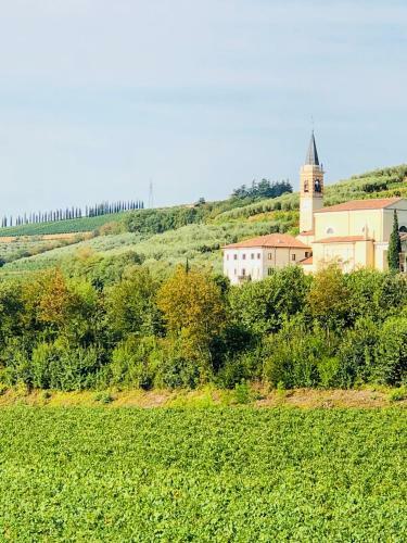 Apartamento Appartamento "cao Di Sopra"