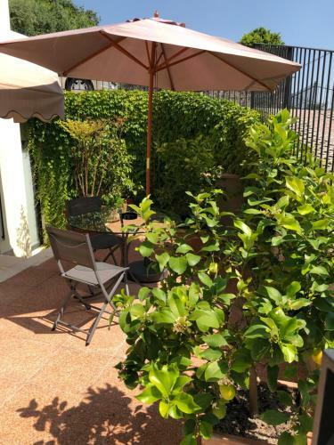 Apartamento Appartamento "cao Di Sopra"
