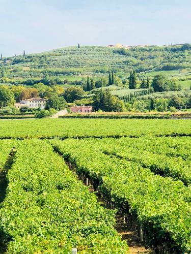 Apartamento Appartamento "cao Di Sopra"