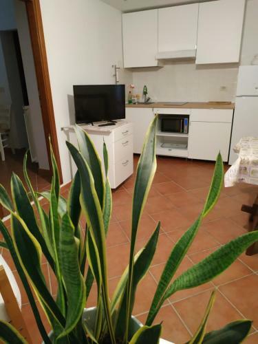 Apartamento Il Giglio Appartamenti