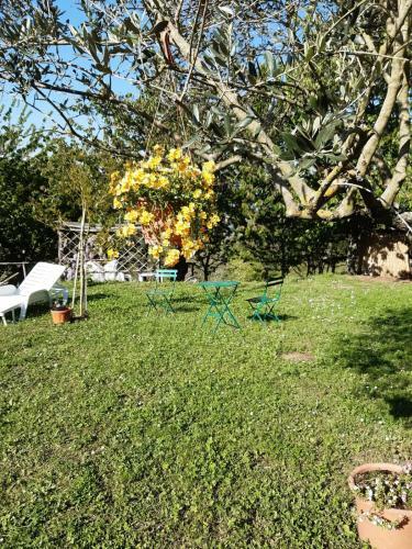 Apartamento La Bellana