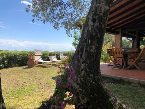 Toscana Tour - Cottage Gaia With Sea View