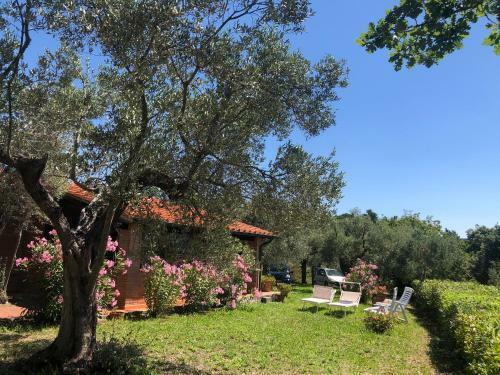 Toscana Tour - Cottage Gaia With Sea View