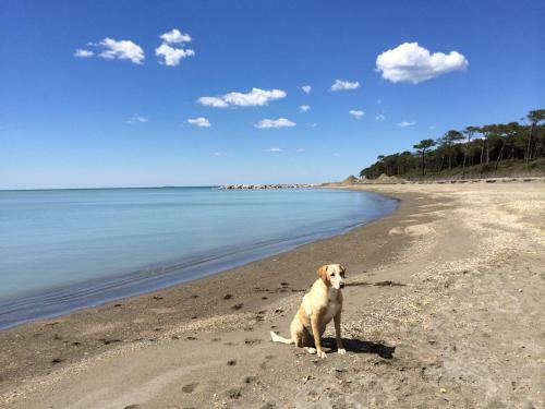 Toscana Tour - Cottage Gaia With Sea View