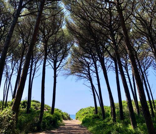 Toscana Tour - Cottage Gaia With Sea View
