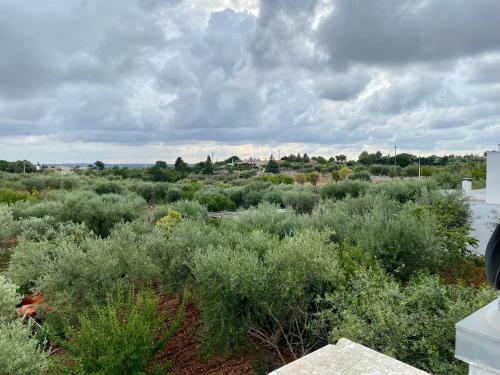 Villa Marta- Puglia Mia Apartments