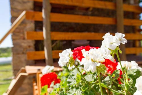 Agroturismo Cascinetta32