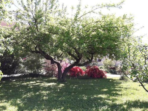 Apartamento Talonno Il Frutteto