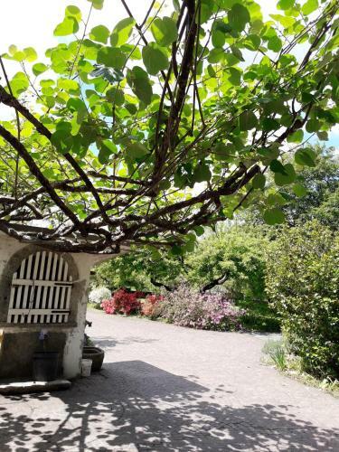 Apartamento Talonno Il Frutteto