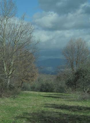 Borgo San Michele Incisa Tuscany