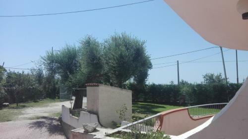 Apartments Agostino